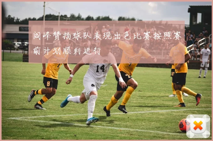 阎峰赞扬球队表现出色比赛按照赛前计划顺利进行
