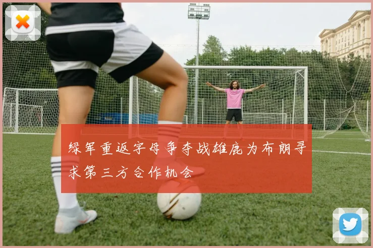绿军重返字母争夺战雄鹿为布朗寻求第三方合作机会